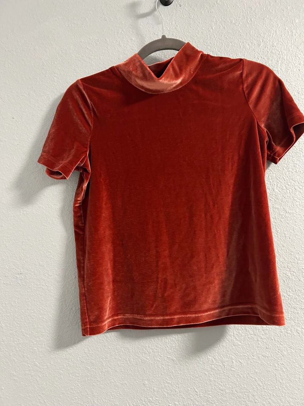 Madewell Burnt Orange Velvet Short Sleeve Mockneck Tee Top